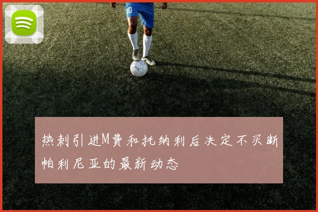 热刺引进M费和托纳利后决定不买断帕利尼亚的最新动态