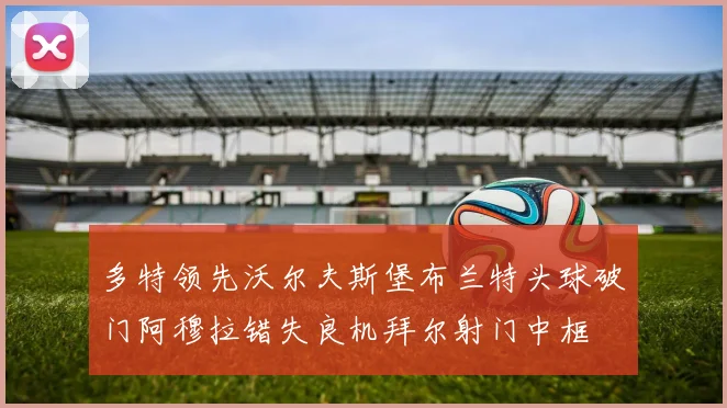 多特领先沃尔夫斯堡布兰特头球破门阿穆拉错失良机拜尔射门中框